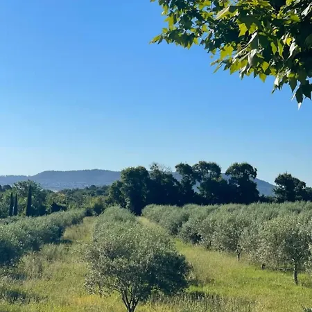 Maison De Charme, Pleine Nature *