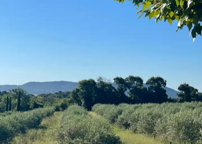 Maison De Charme, Pleine Nature *